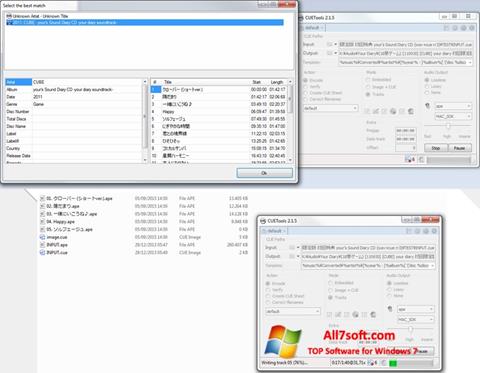 Skärmdump CUETools för Windows 7