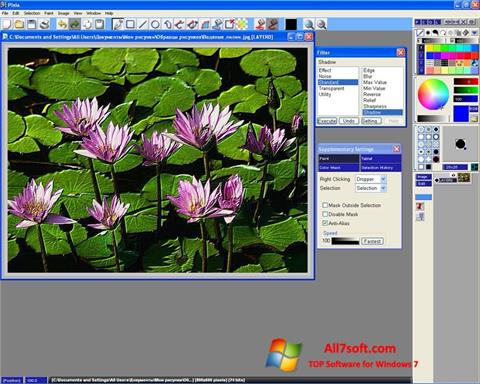 Skärmdump Pixia för Windows 7