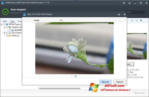 Skärmdump USB Flash Drive Recovery för Windows 7