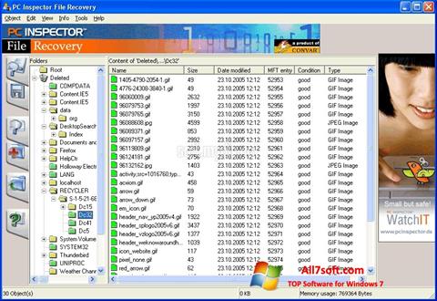 Skärmdump PC Inspector File Recovery för Windows 7