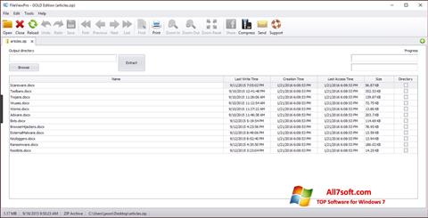 Skärmdump FileViewPro för Windows 7