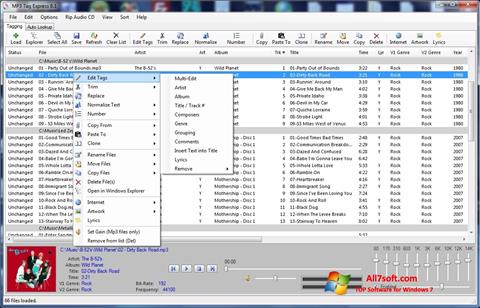 Skärmdump Mp3tag för Windows 7