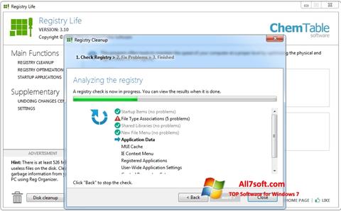 Skärmdump Registry Life för Windows 7