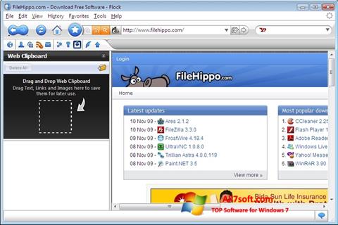 Skärmdump Flock för Windows 7