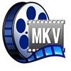 MKV Player för Windows 7