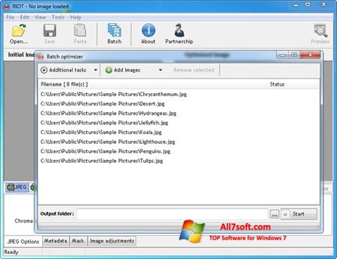 Skärmdump RIOT för Windows 7