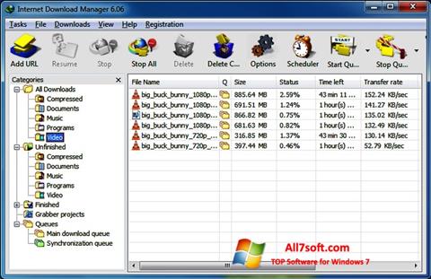Skärmdump Internet Download Manager för Windows 7