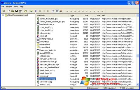Skärmdump Teleport Pro för Windows 7