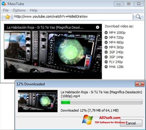 Skärmdump MassTube för Windows 7