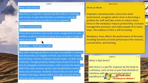Skärmdump Simple Sticky Notes för Windows 7