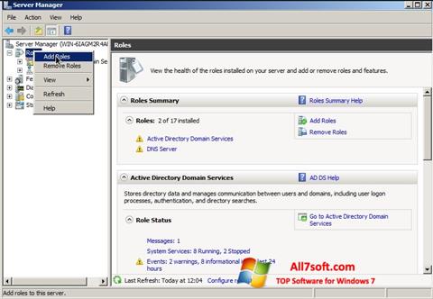 Skärmdump Open Server för Windows 7