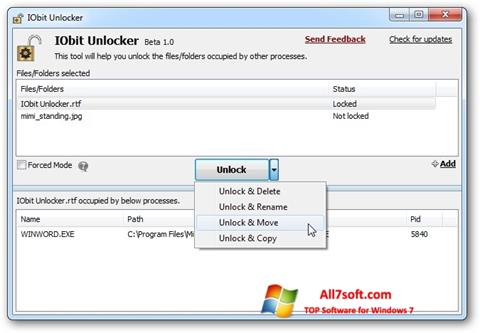 Skärmdump IObit Unlocker för Windows 7