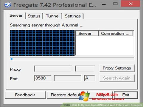 Skärmdump Freegate för Windows 7