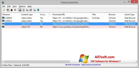 Skärmdump VideoCacheView för Windows 7