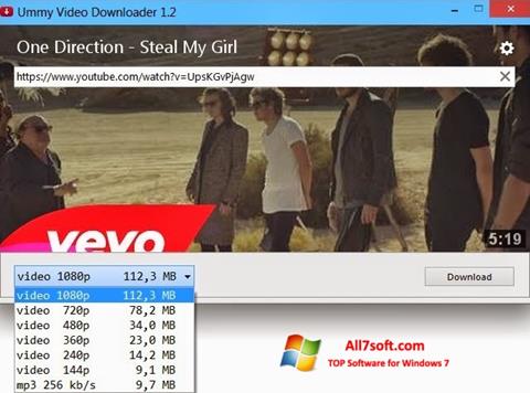Skärmdump Ummy Video Downloader för Windows 7