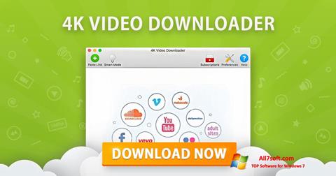 Skärmdump 4K Video Downloader för Windows 7