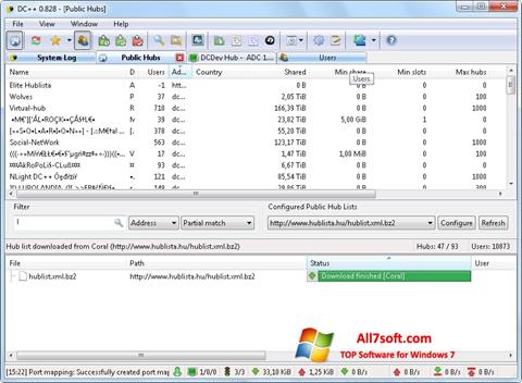 Skärmdump DC++ för Windows 7