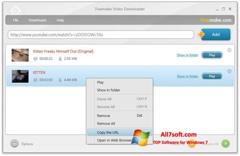 Skärmdump Freemake Video Downloader för Windows 7